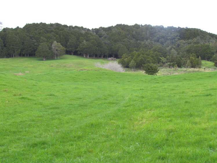 Tremain Road Ruatangata West_10