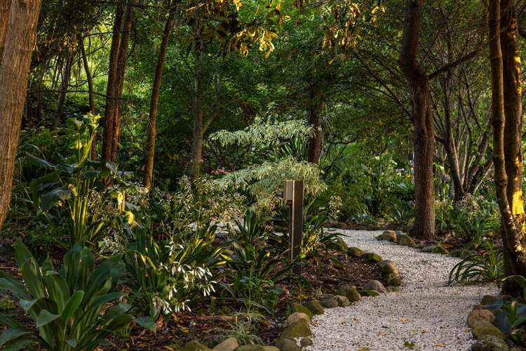 1048 State Highway 63 Wairau Valley_17