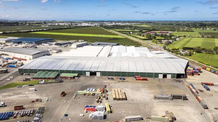 113 Elwood Road Tomoana_18