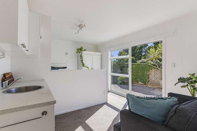 25 Windmill Road Mount Eden_16