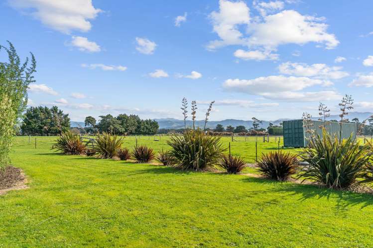 353 Hughes Line Carterton_15