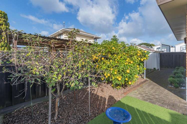 3B Nelson Street Papakura_15