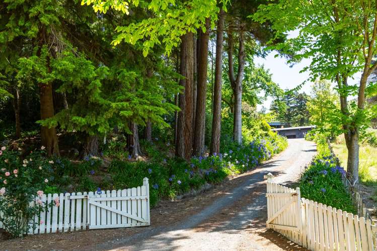 865 Mangamahoe Central Road Masterton_3