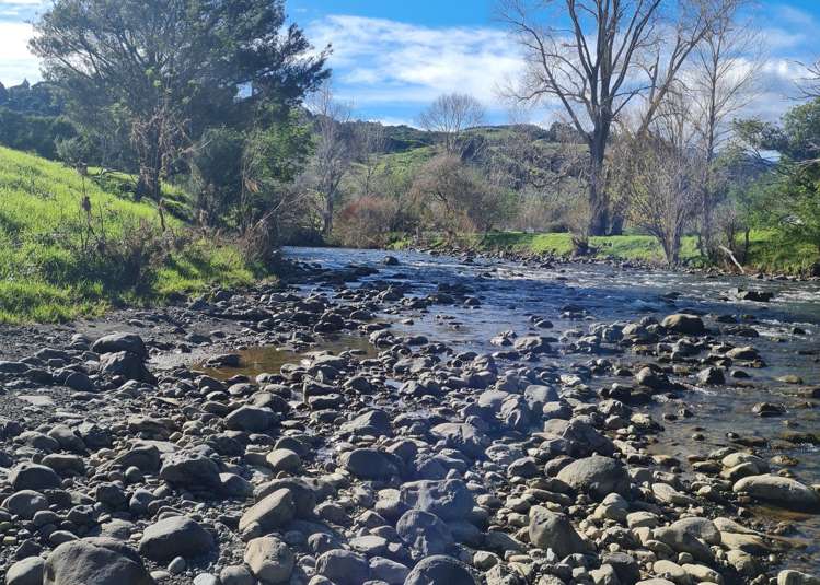 52B Hooks and Halls Road Waimamaku_11