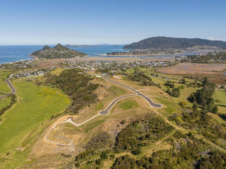 Pepe Ridge subdivison Tairua_9