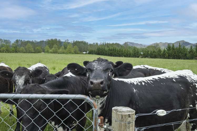 121 Woodbank Road Hanmer Springs_10