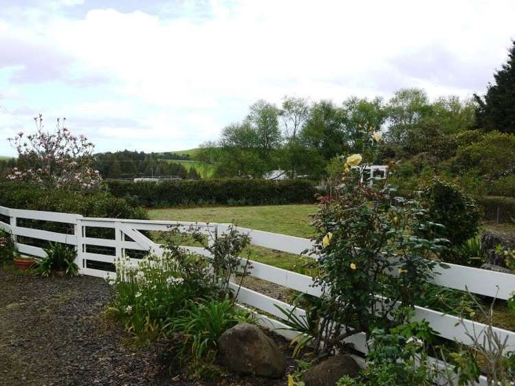 684 Trounson Park Road Dargaville Surrounds_8