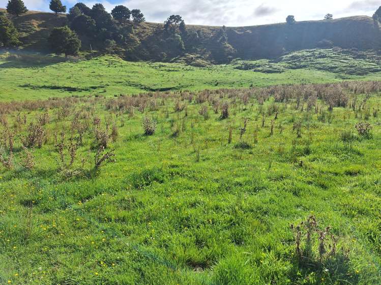 Mangaone Road Pongaroa_20