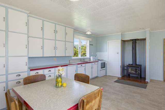 915 State Highway 57 Levin_3