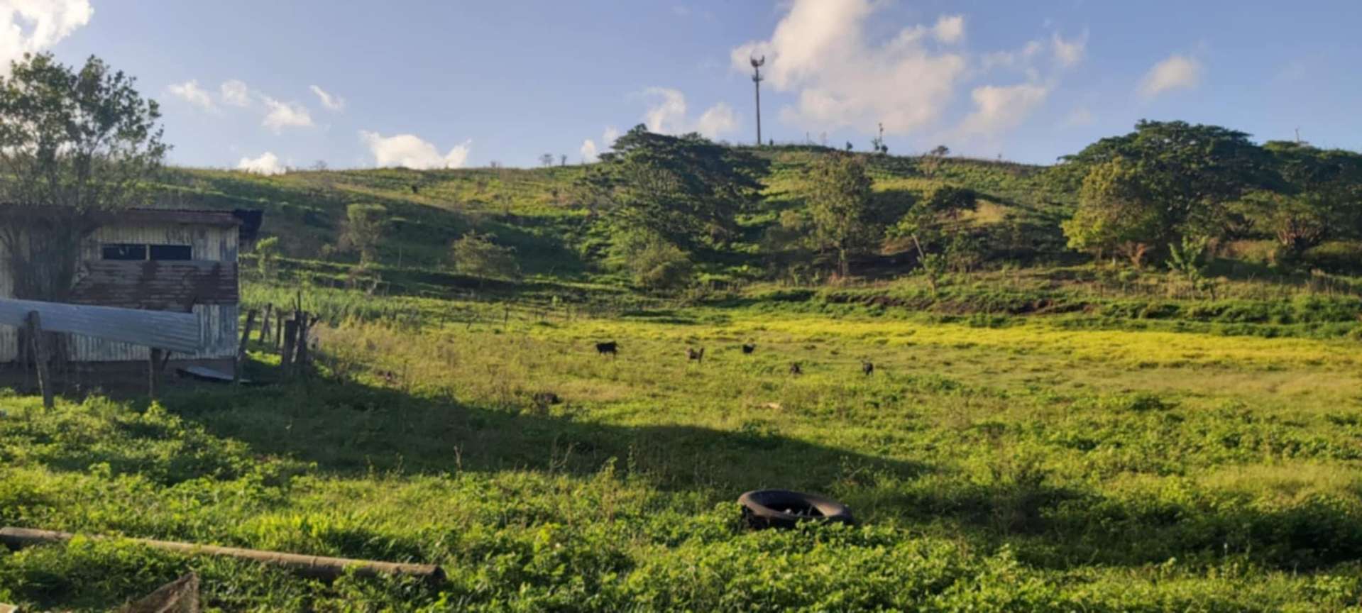 Lot 1 Benai Koronubu subdivision Ba_0