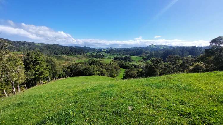 1104 Tapuhi Road Hikurangi Rd2_26