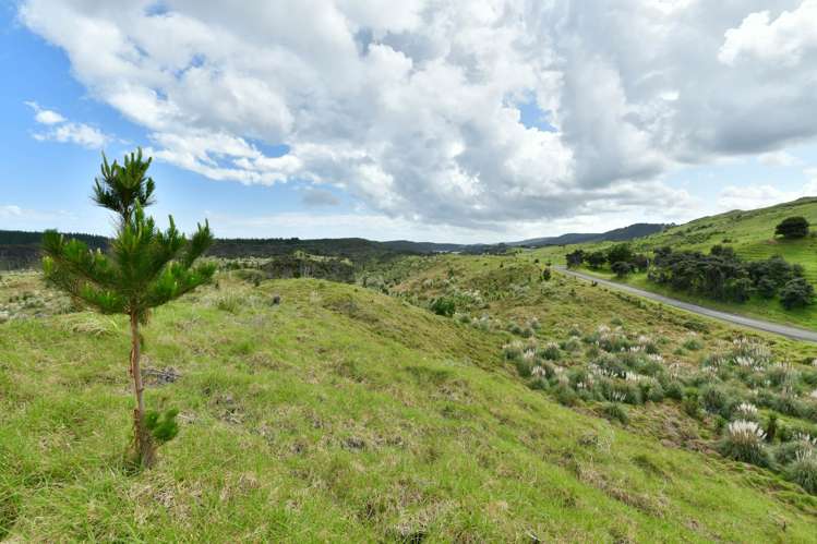 Lot 2/DP170782 Wilson Road South Head_18