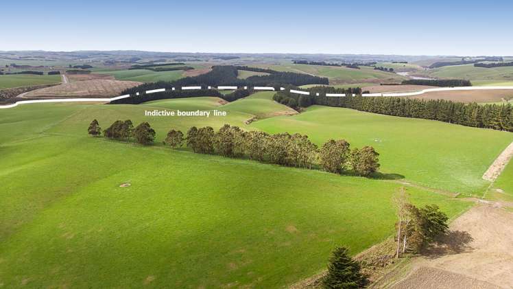 675 Black Bridge Road Clutha_7