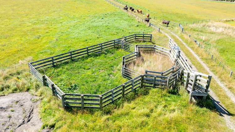 158 Kakapo Street Gore Surrounds_49