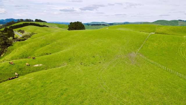 1921 Weber Road Dannevirke_4