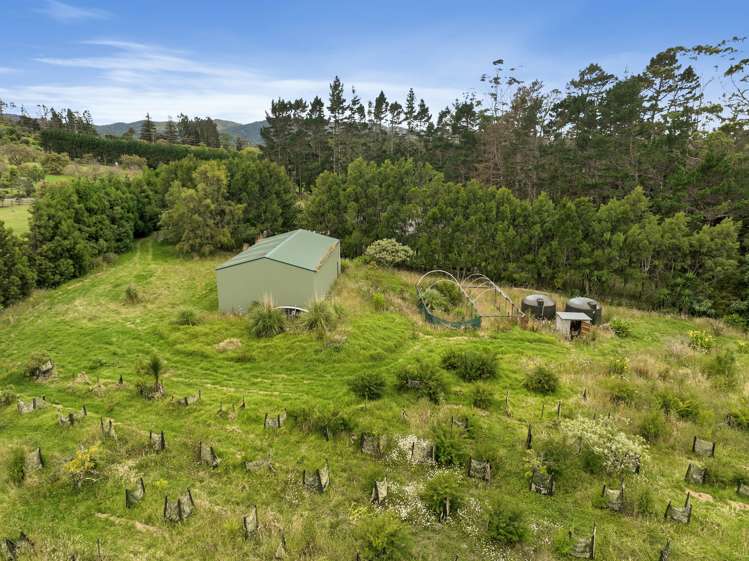 379d Tara Road Mangawhai_12
