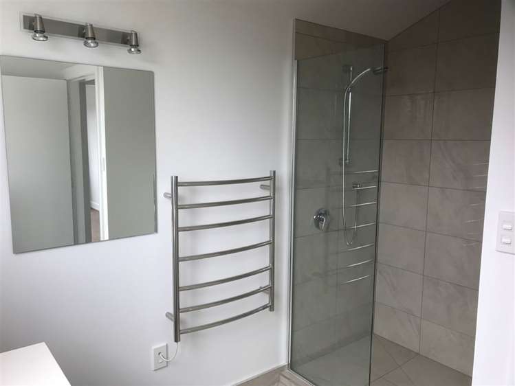 60 Hamilton Avenue Ilam_14