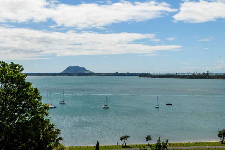 81 Harbour View Road Omokoroa_12