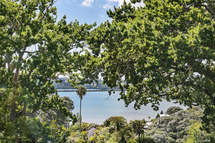 24b Brighton Road Parnell_20