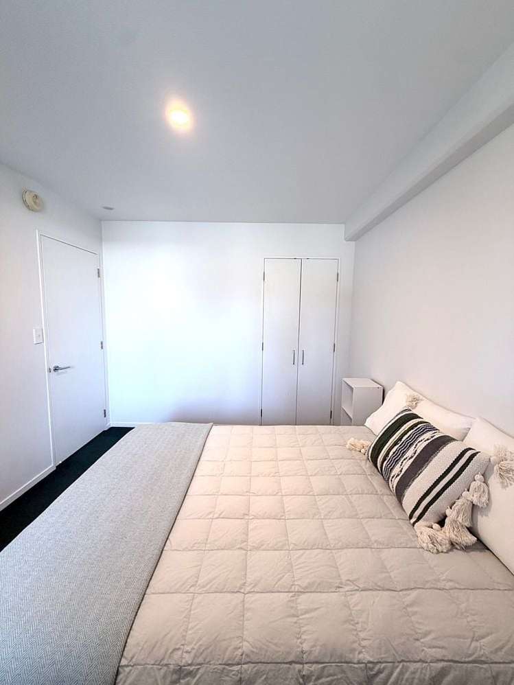 250 Richmond Road Grey Lynn_5