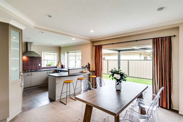 204 Guppy Road Taradale_4