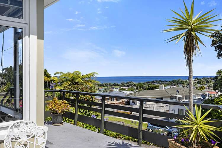 18 Mount View Place Spotswood_19