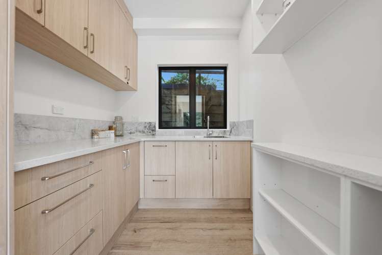 126 Foley Quarry Road Dairy Flat_14