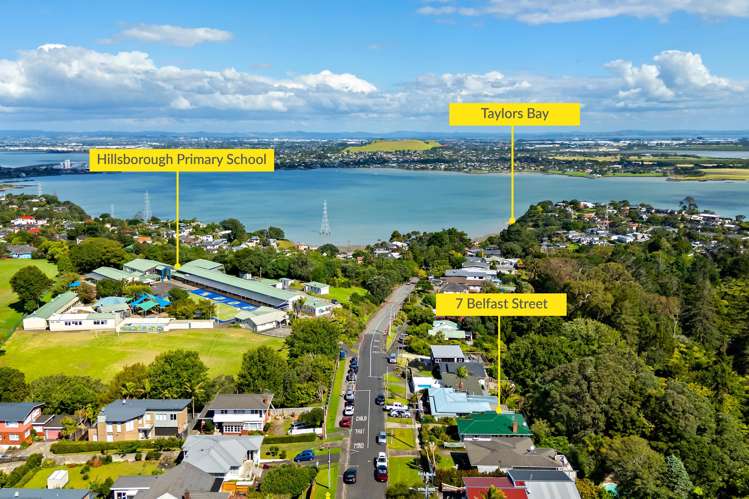 7 Belfast Street Hillsborough_38