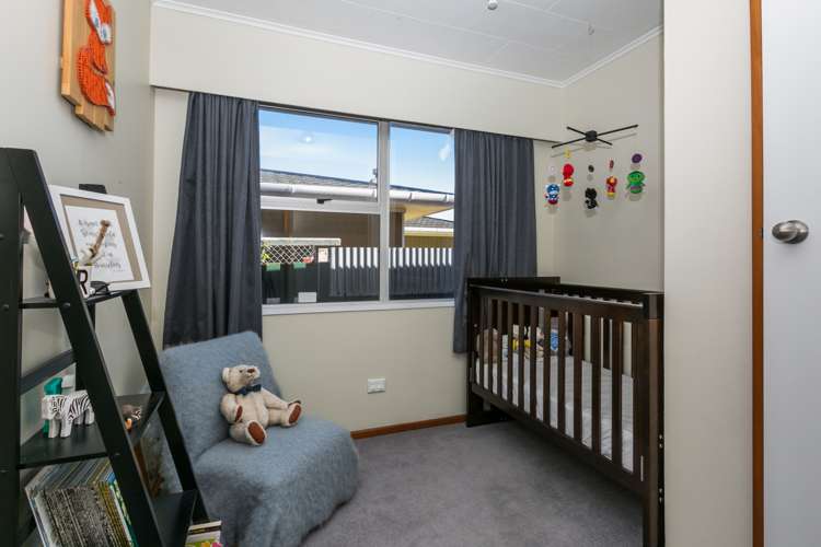 12 Lyttelton Crescent Tamatea_9