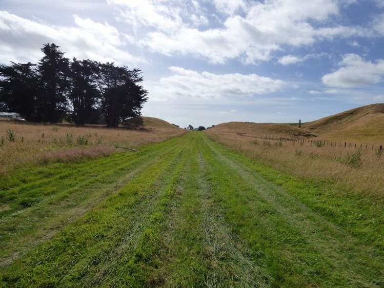 729 Midland Road Bunnythorpe_8