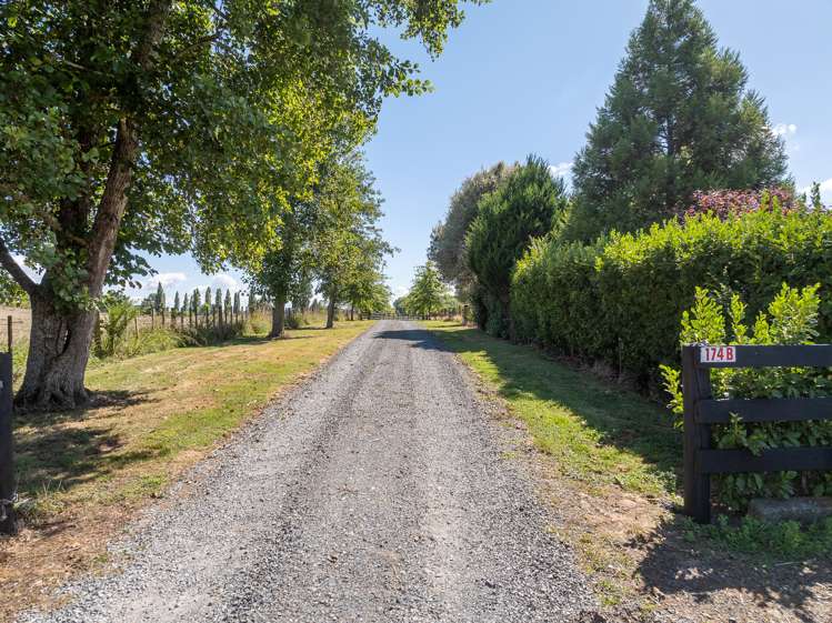 174b Cemetery Road Whatawhata_8