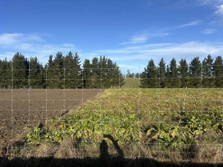 455 Albury Fairlie Road Mackenzie Country_7