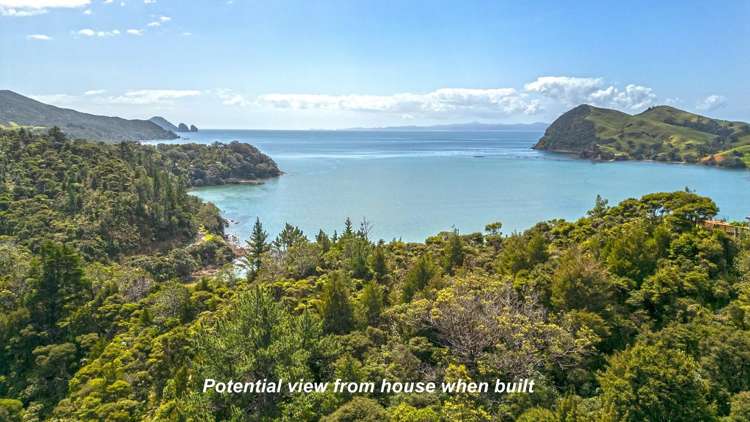 1451 Port Charles Road_5