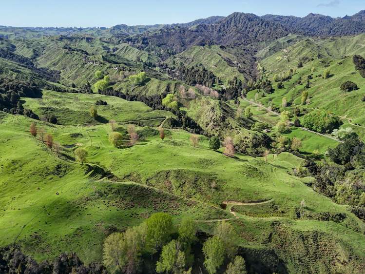 56 Makakahi Road Ruapehu-King Country Surrounds_21