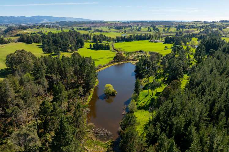 240 George Harvey Road Upper Moutere_23