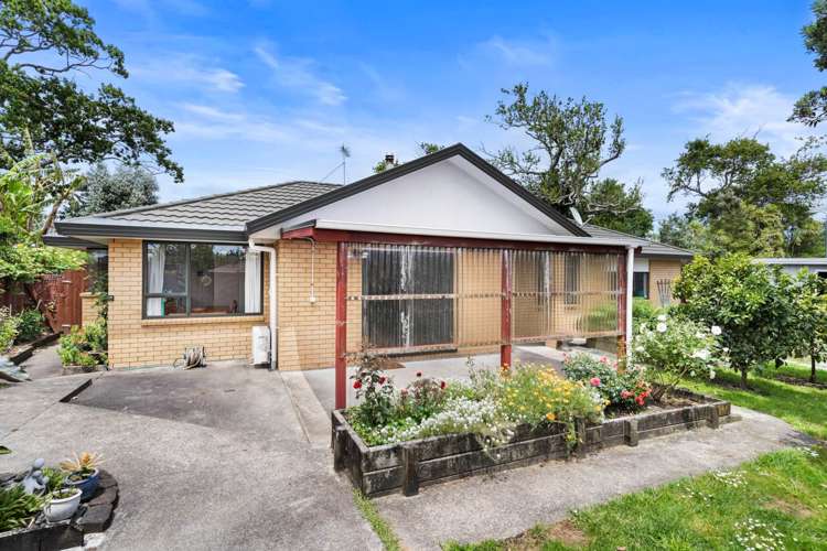 3 Carling Avenue Massey_16