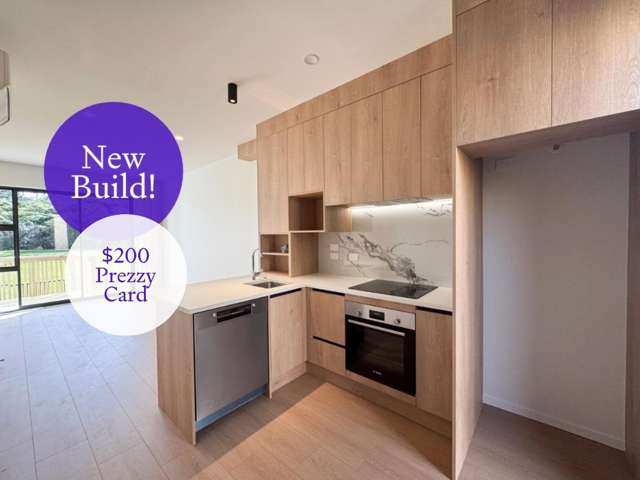 Brand new home in Massey
