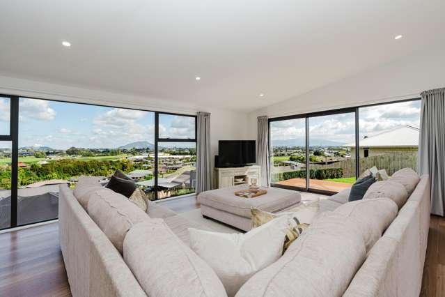 325 Picquet Hill Road Te Awamutu_3