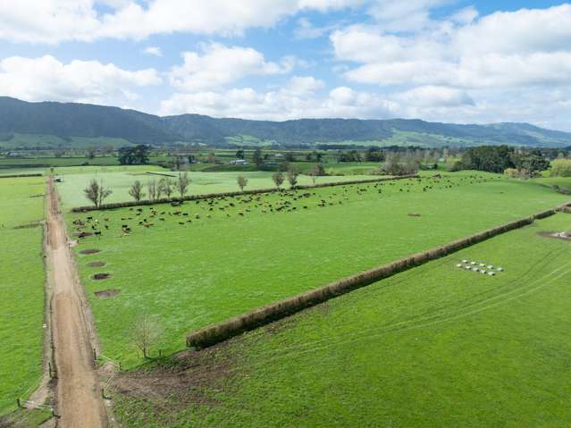 1099 Tower Road Matamata_4