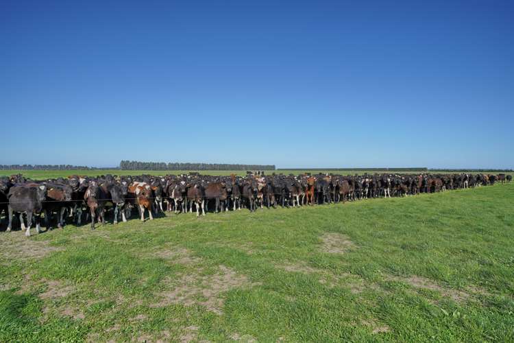 1108 Te Pirita Road Hororata_1