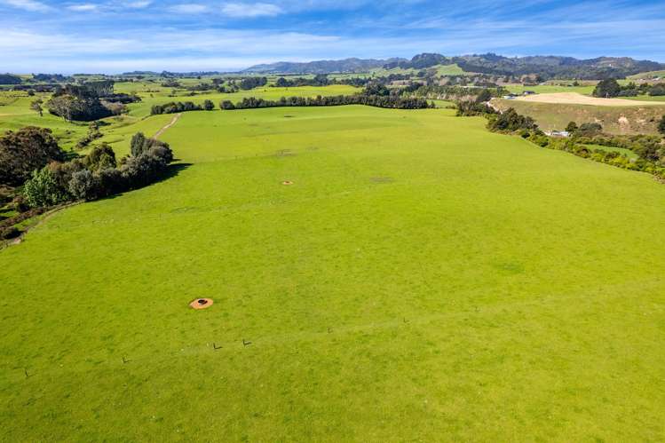 226 Pukearuhe Road Mimi_10