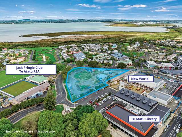 3 Pringle Road Te Atatu Peninsula_3