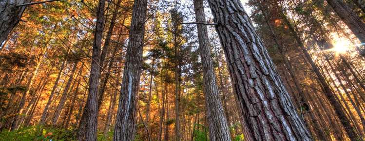 1068 Otaki Gorge Road Otaki_9