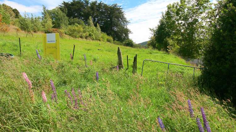 Canna Street Lawrence_8