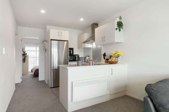 62/17 Owens Place Mt Maunganui_4