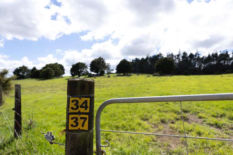 503 Puhipuhi Road Whakapara_29