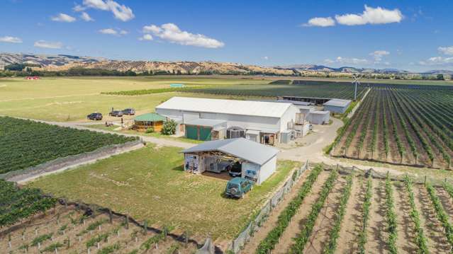 359 Dakins Road Carterton_4