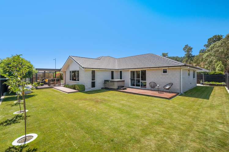 55 Grigg Drive Witherlea_10