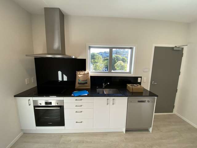 23 Batchelor Street Newlands_2