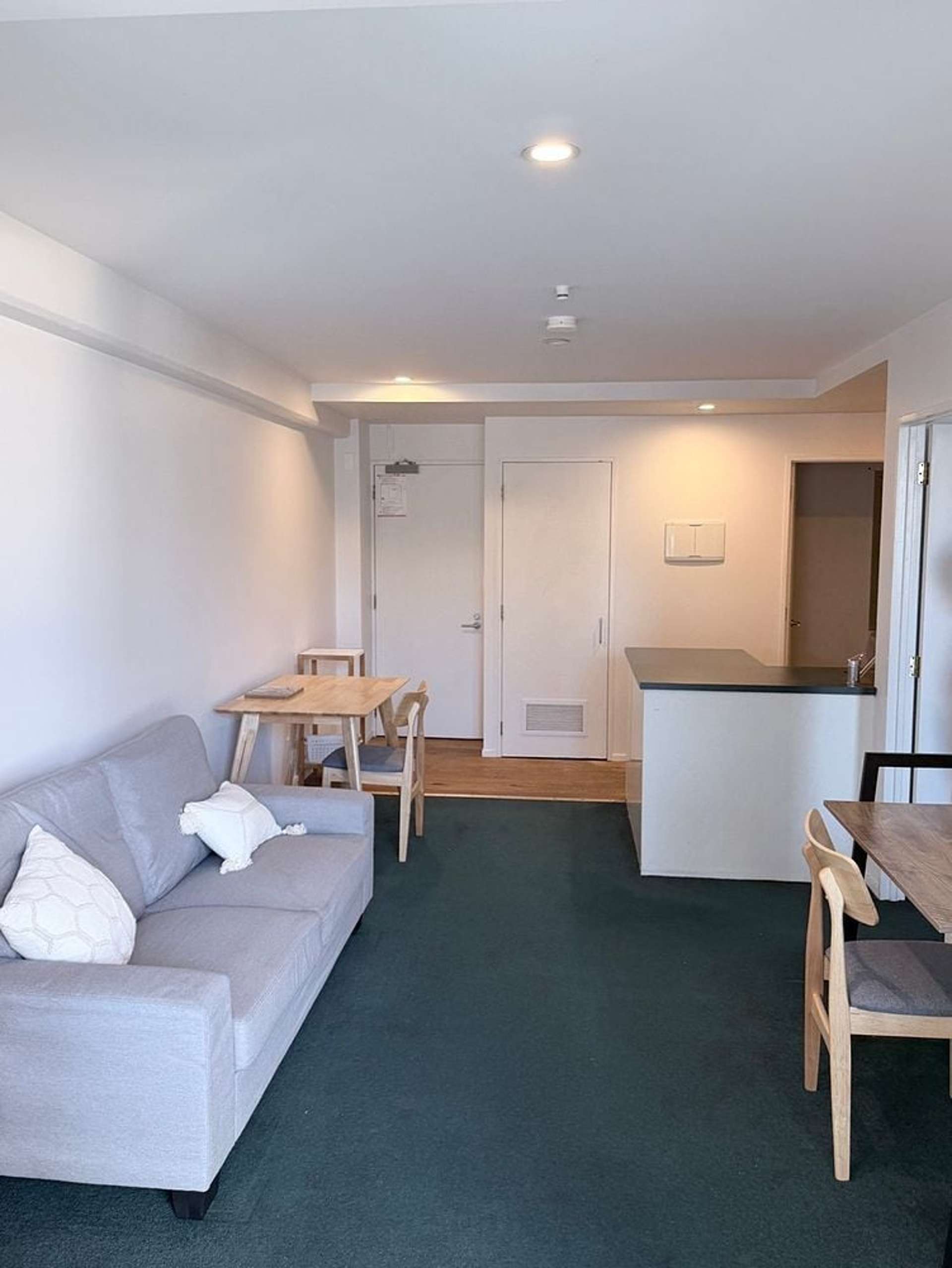 250 Richmond Road Grey Lynn_0